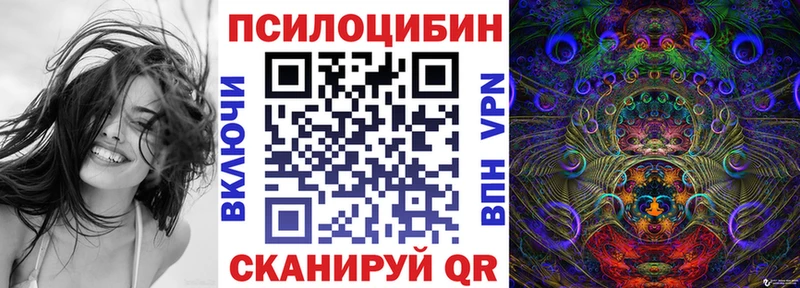 Галлюциногенные грибы Psilocybine cubensis  omg как зайти  Лахденпохья 